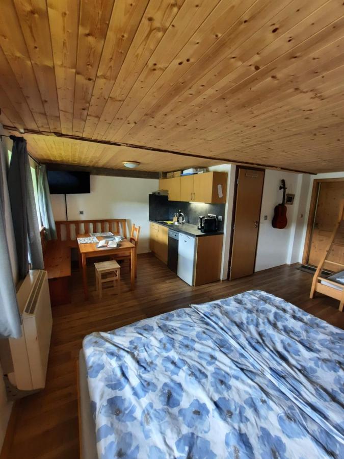 Ferienwohnung Spicak - U Barabu Železná Ruda Exterior foto