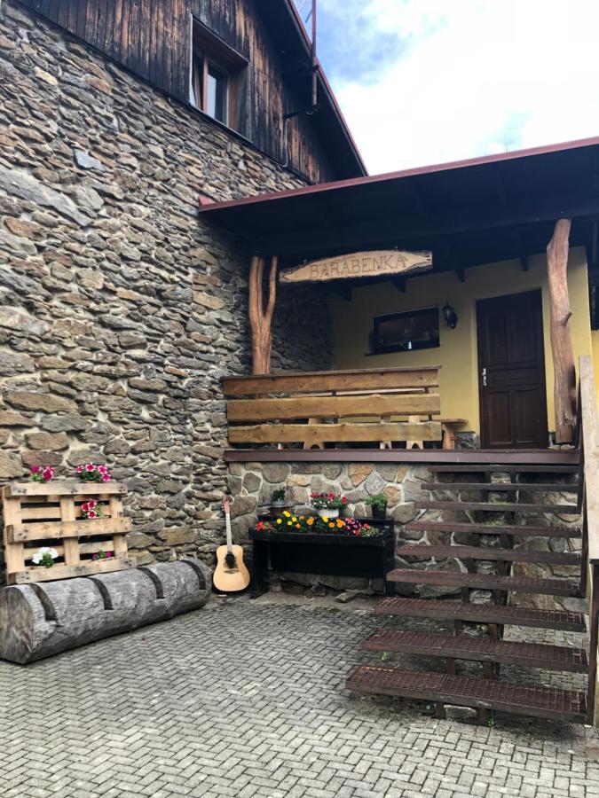 Ferienwohnung Spicak - U Barabu Železná Ruda Exterior foto